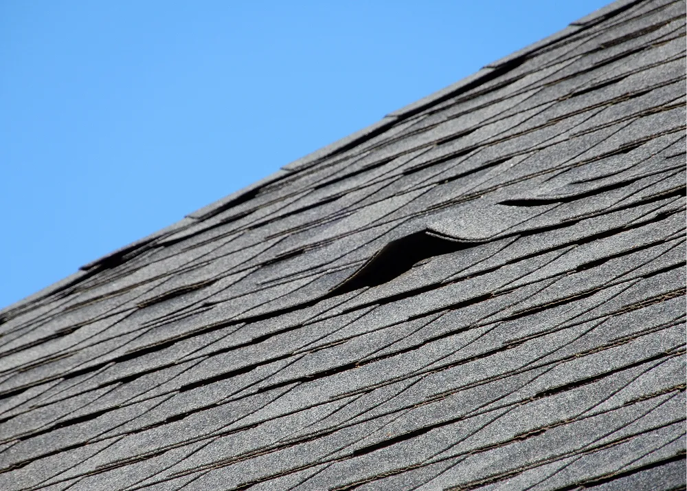 How Wind Damage Affects Your Roof and Shingles