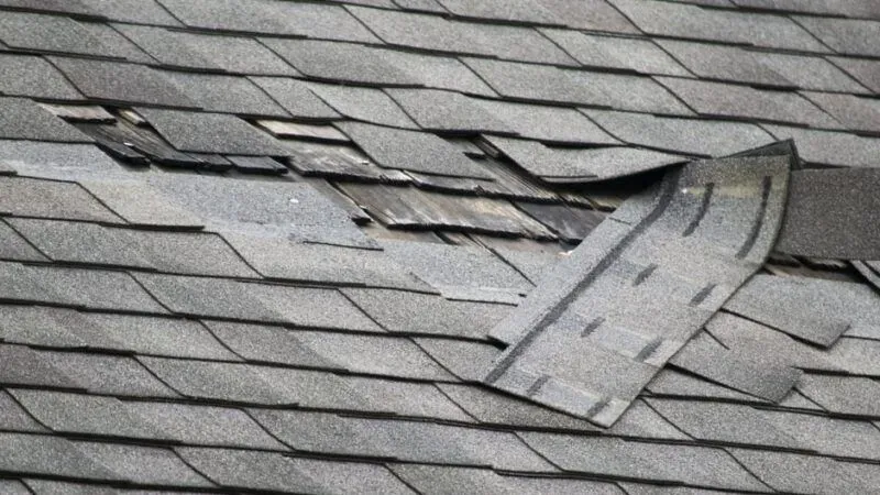 How to Spot Missing or Damaged Roof Shingles