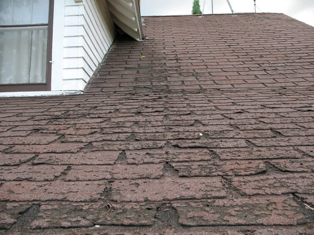 Signs You Need a New Roof on Your House