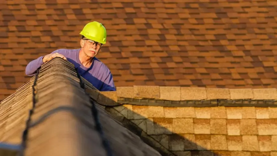 What to Look for in a Roof Inspection